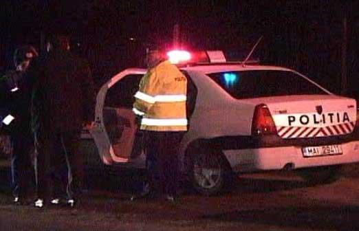 vandalism-in-dumbrava-in-puterea-noptii0_58969