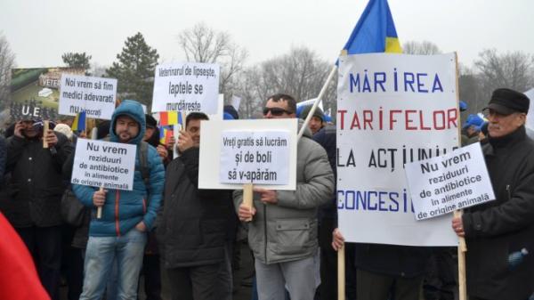 Veterinarii salajeni au plecat  ieri la Bucuresti sa protesteze  in fata Guvernului