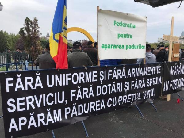 Violentele hotilor de lemne au scos padurarii in strada