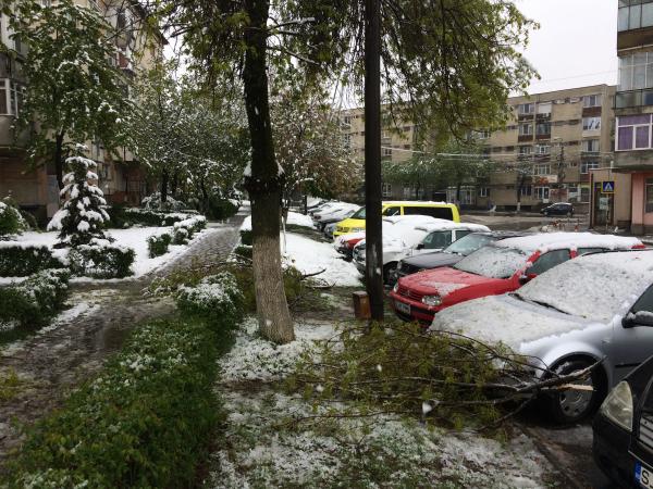 zapada-de-primavara-facut-zalaul-fleasca31_55136